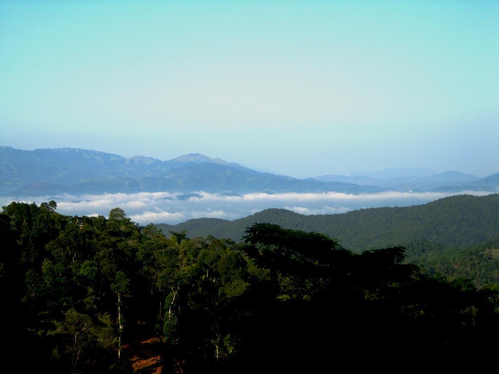 Rangala House Hotel ดิกานา ภายนอก รูปภาพ